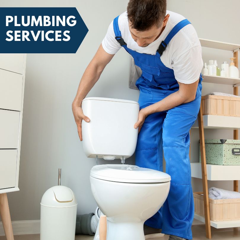 Plumbing Company in Golden Eagle, IL